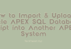 How to Import & Upload Oracle APEX SQL Database Script into Another APEX System